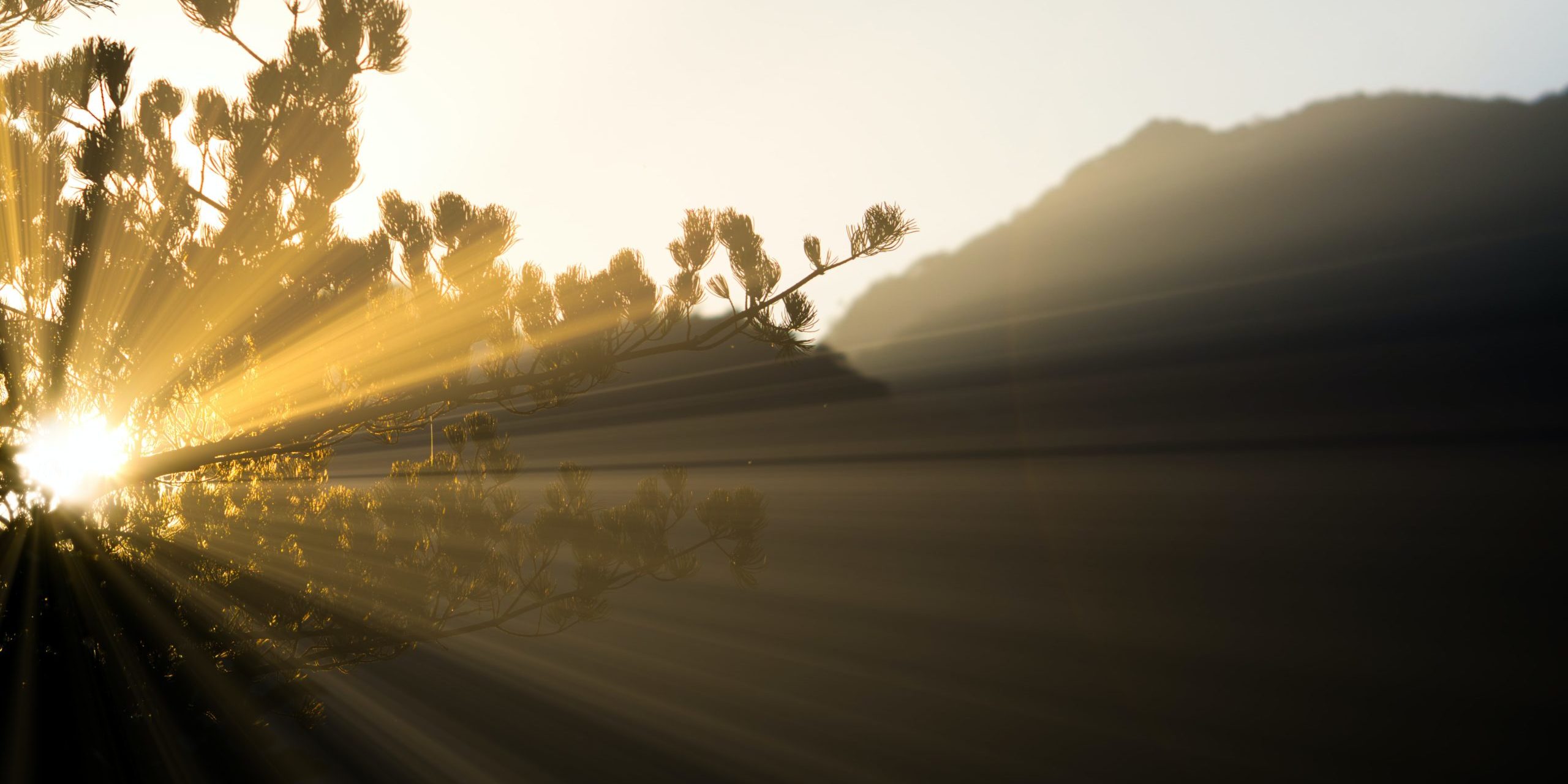 thomas-kinto-K9WKqYj55E0-unsplash